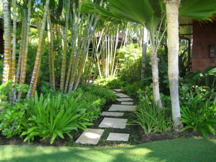 Amazing Tropical Landscaping Ideas