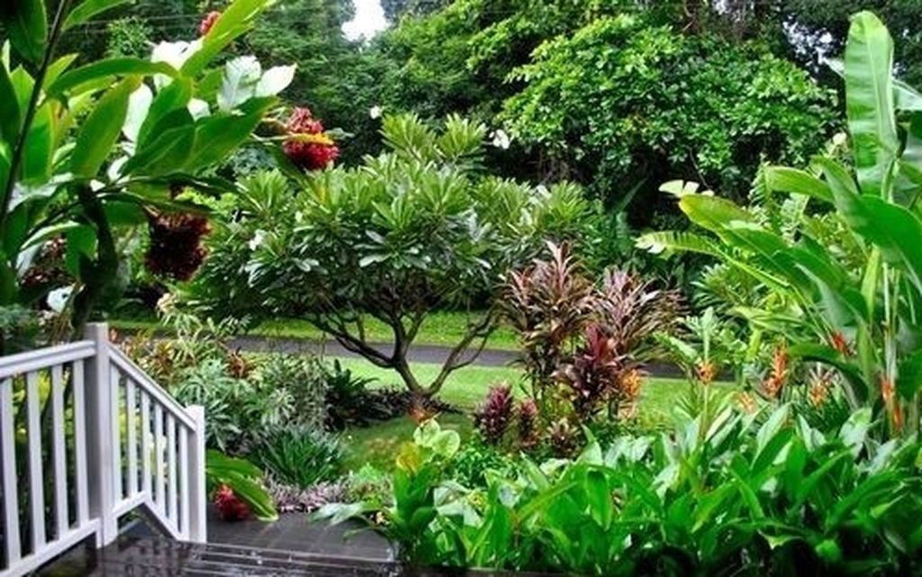 Front Garden Idea Tropical Garden Design