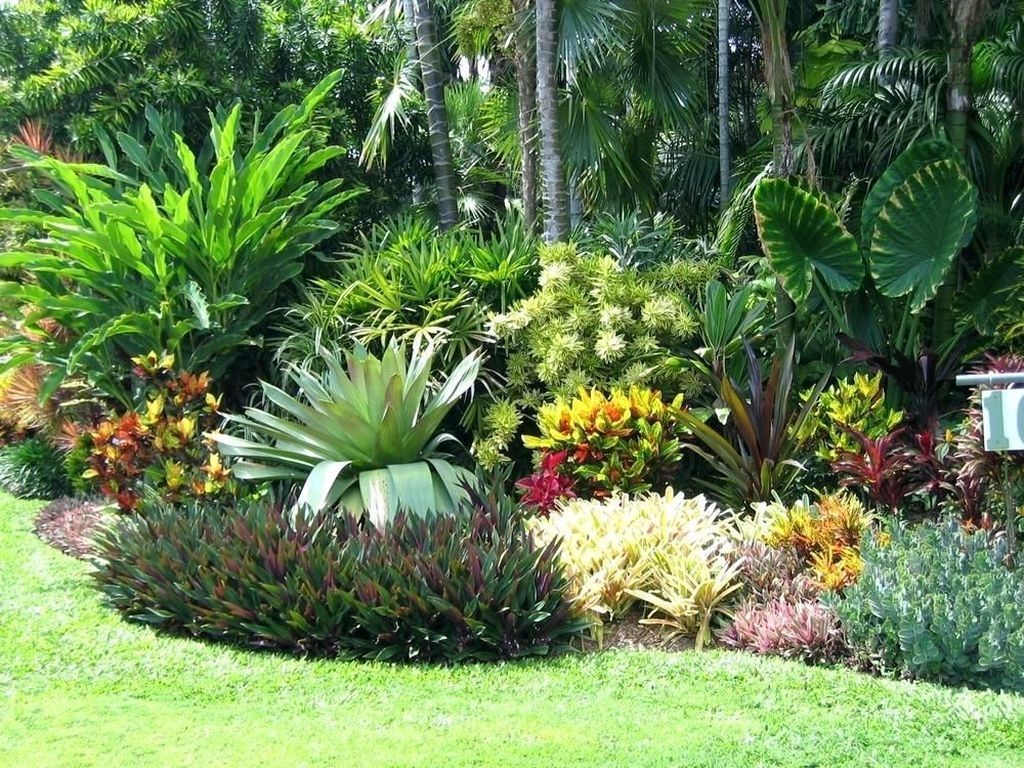 Tropical Flower Garden Design Ideas