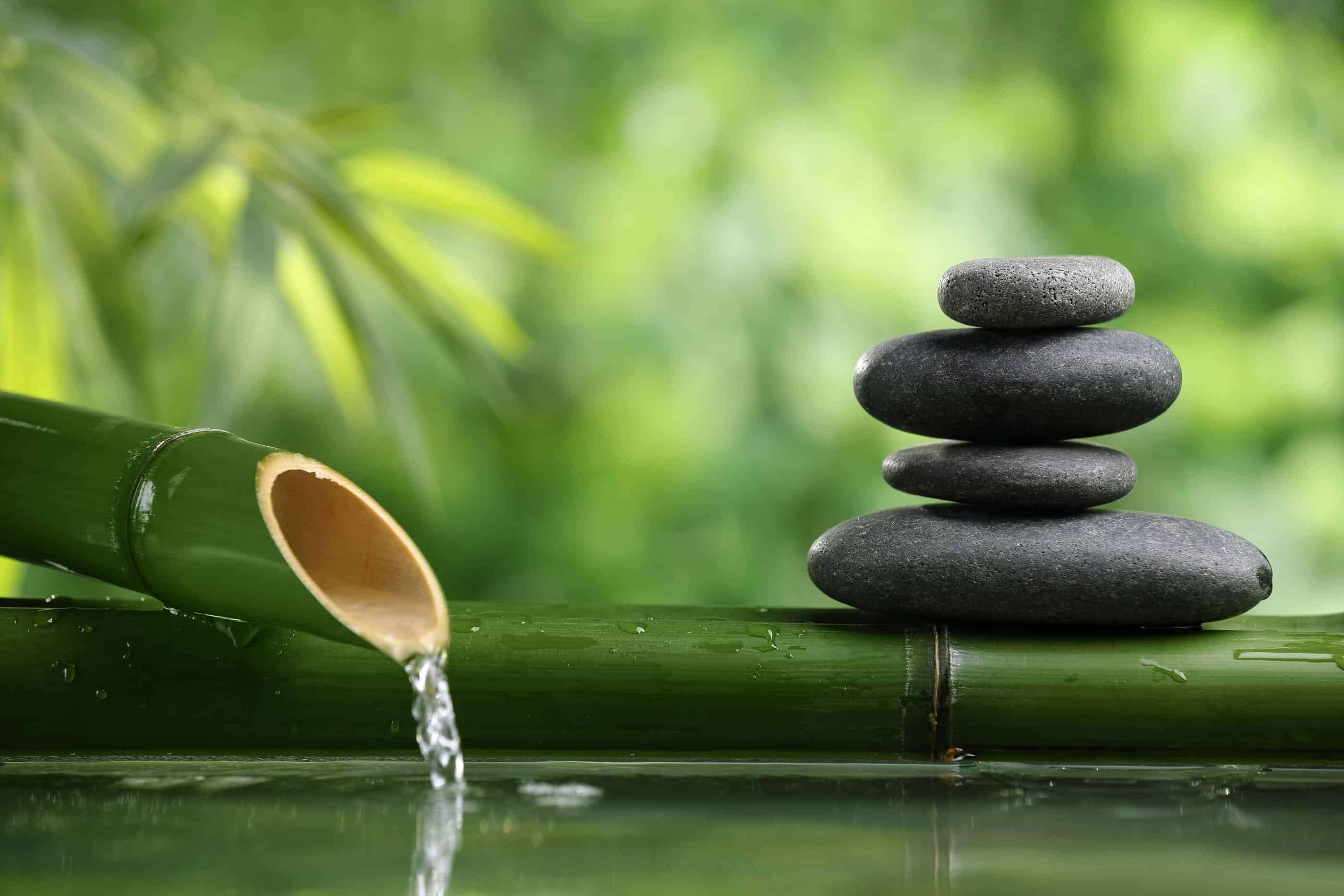 Zen Garden Ideas