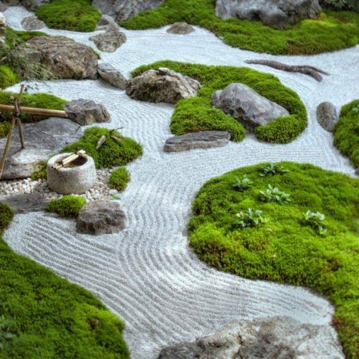 A Relaxing Zen Atmosphere