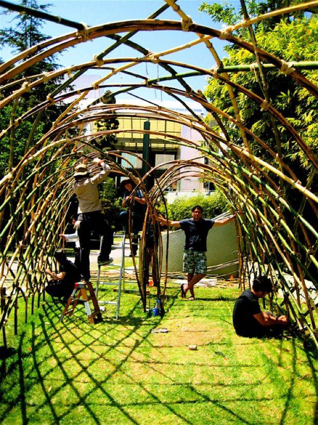 17 Bamboo Garden Arch Ideas You Should Look SharonSable