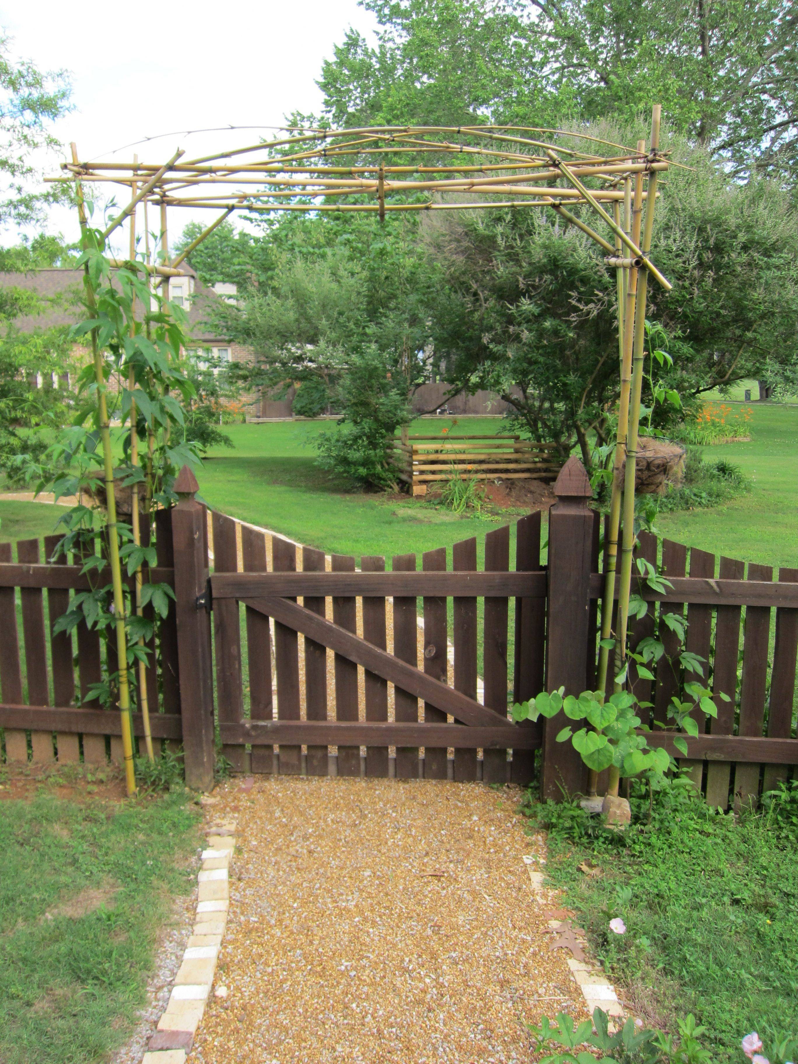 17 Bamboo Garden Arch Ideas You Should Look SharonSable