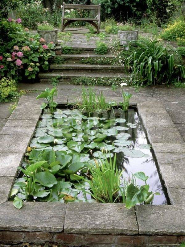 Cool Fish Pond Garden Landscaping Ideas
