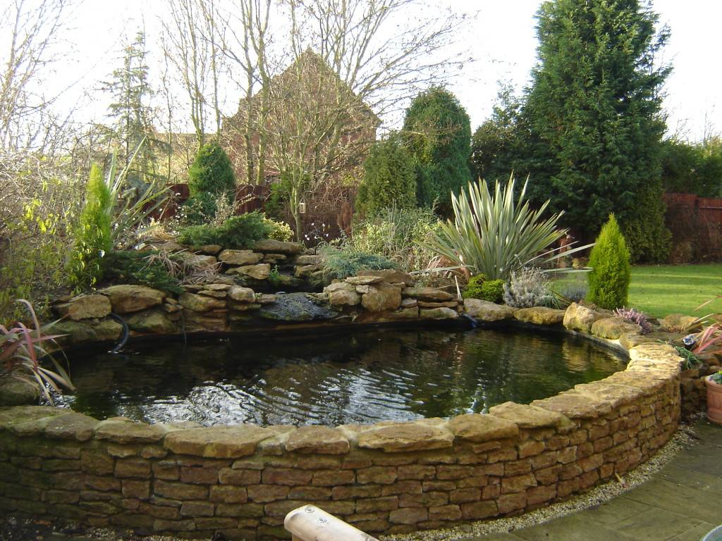 Turtle Small Patio Pond Backyard Ideas Luxury