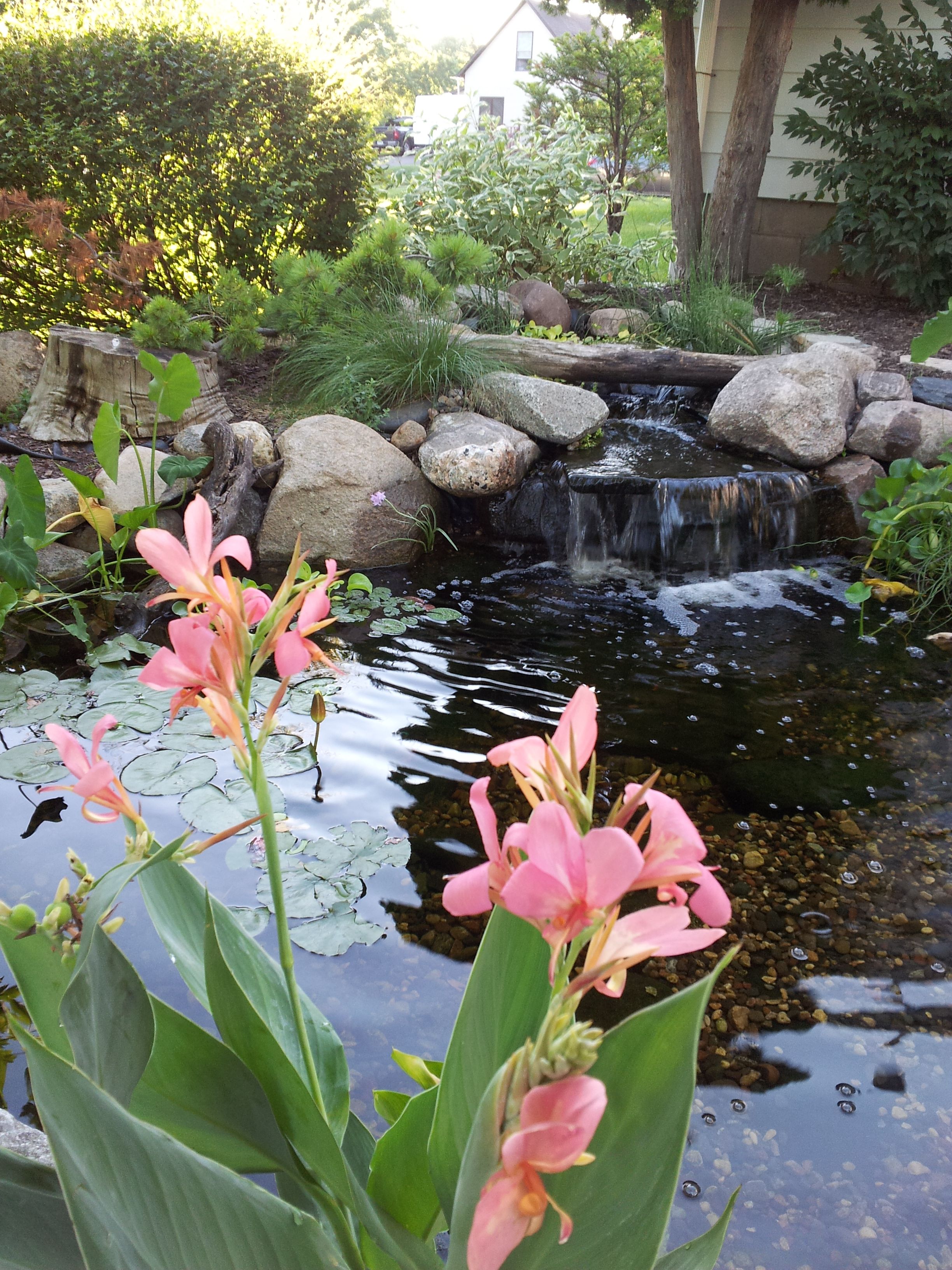 Raised Pond Waterfall Ideas