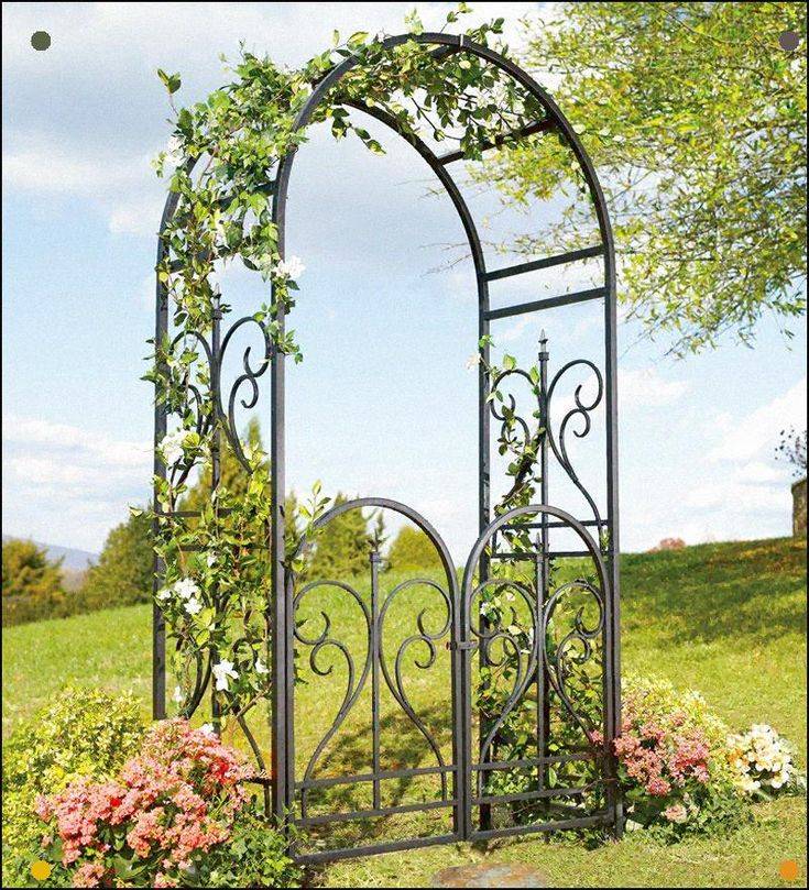 Metal Garden Arch Trellis Ideas