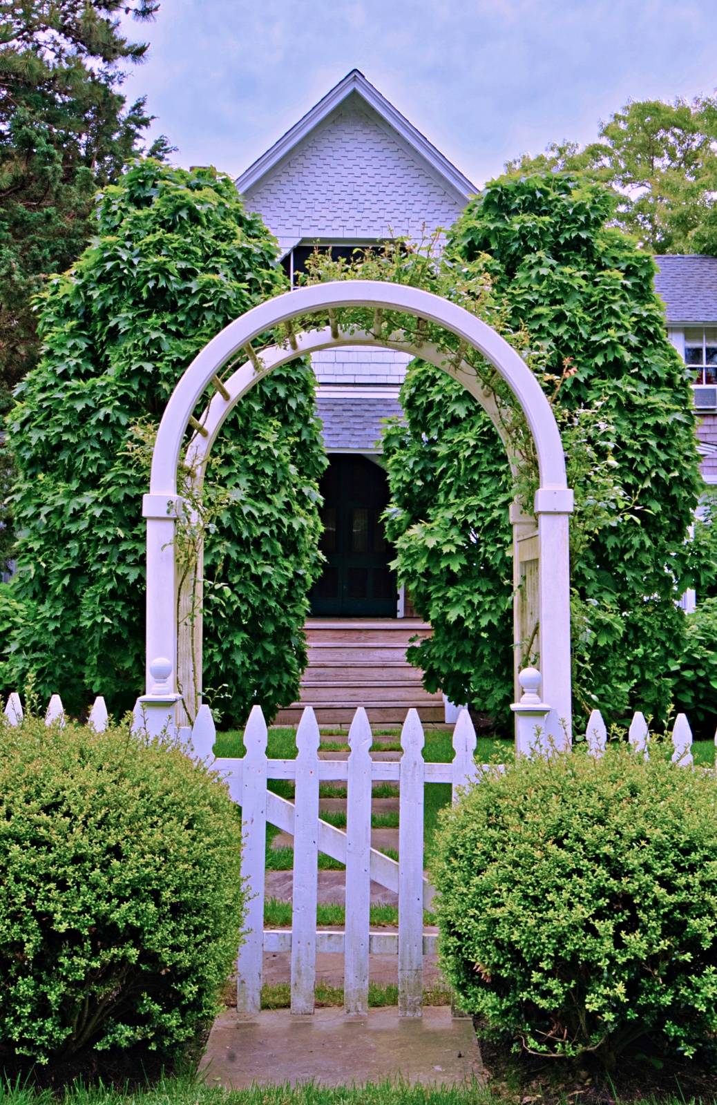 Your Yard Town Country Living