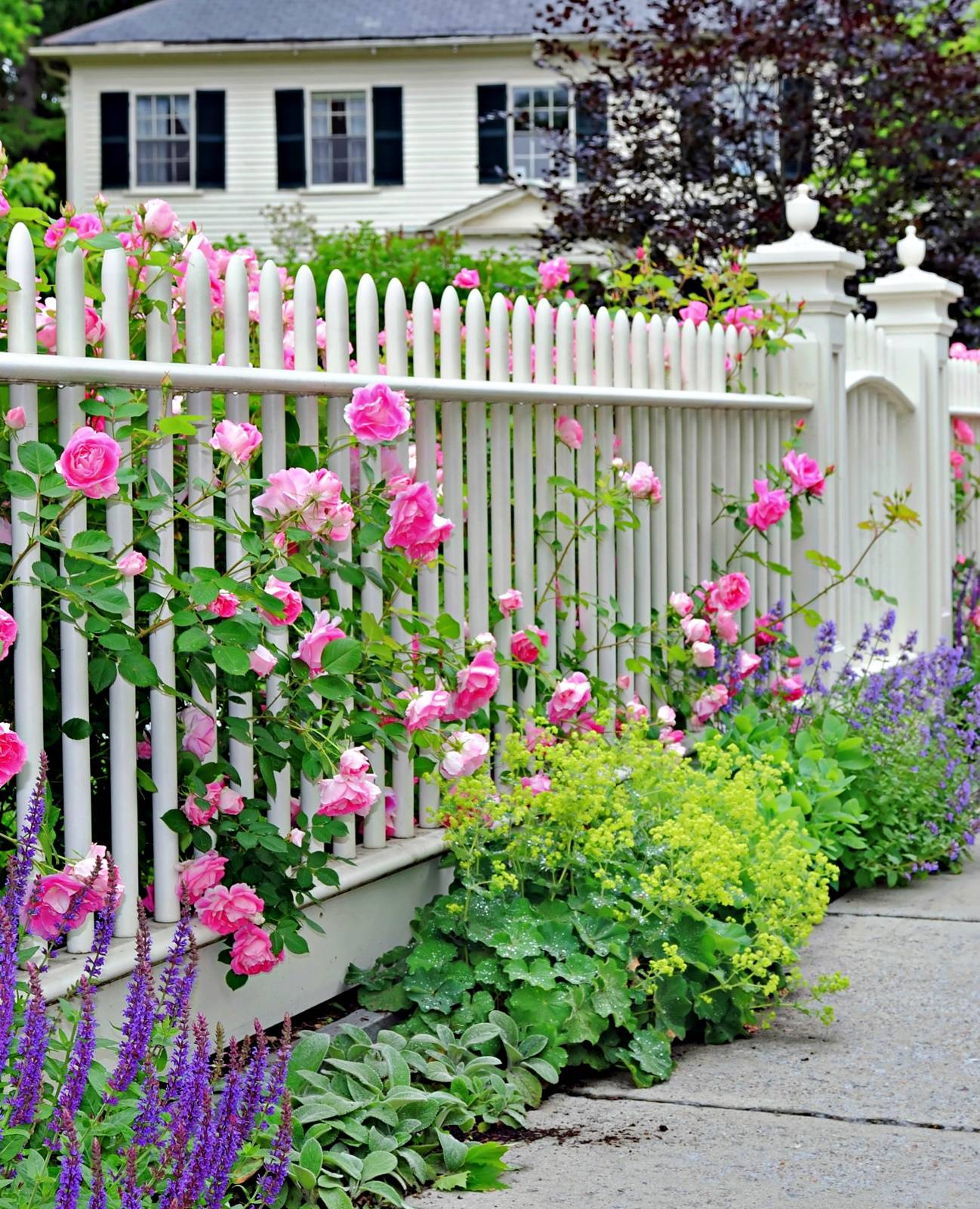 French Cottage Garden