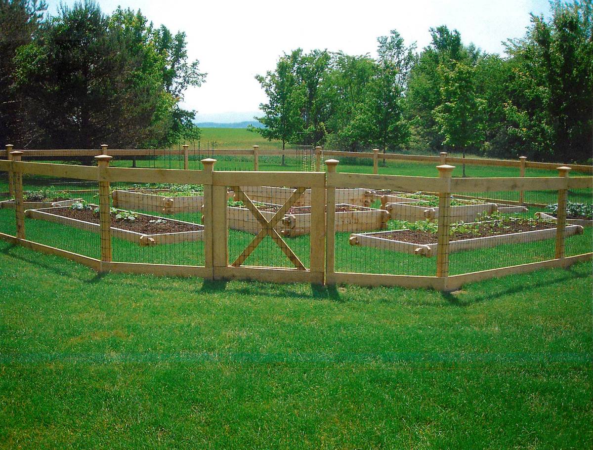 Vegetable Garden Fence Chicken Wire Interior