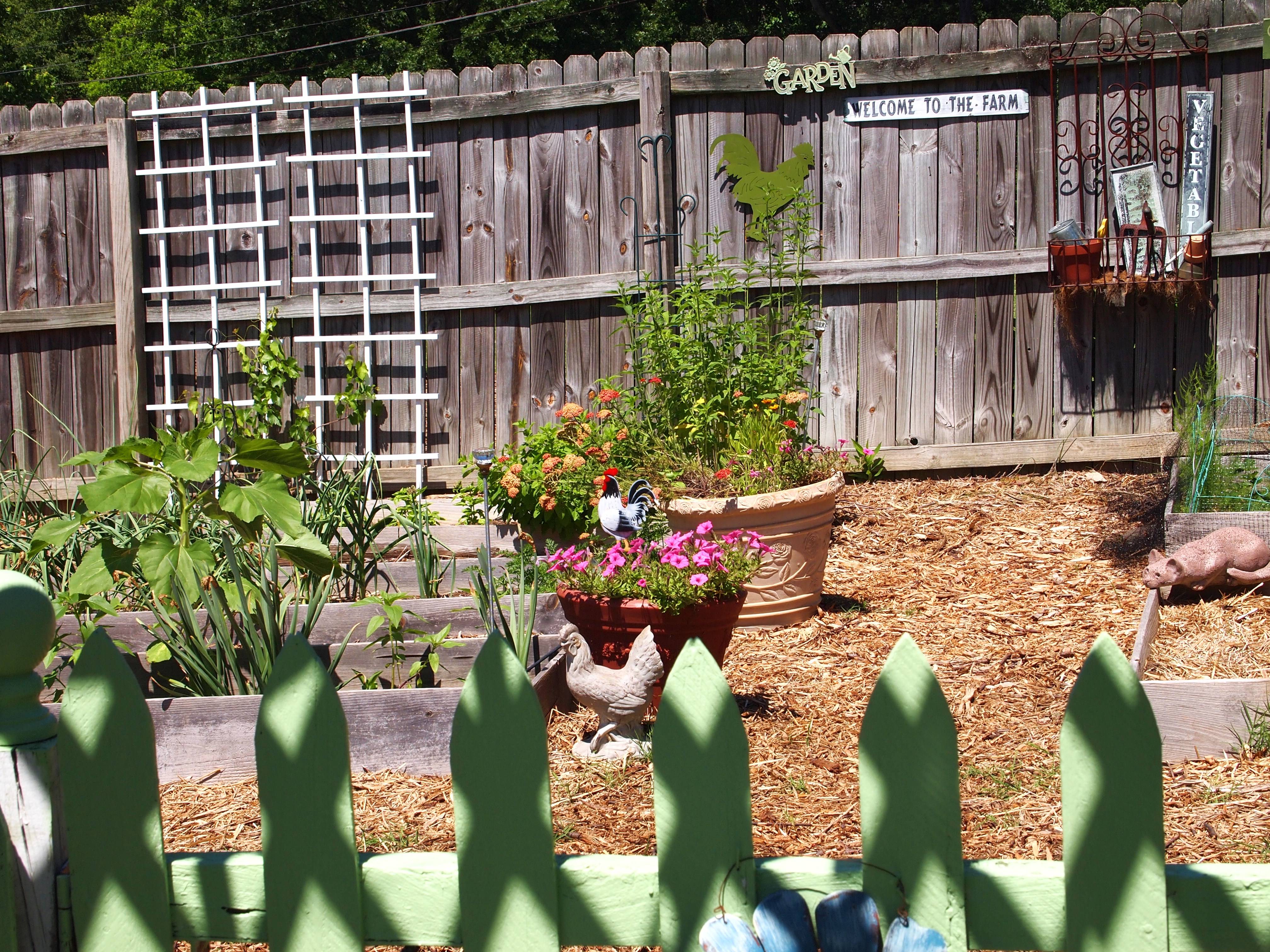 A Simple Vegetable Garden Gate