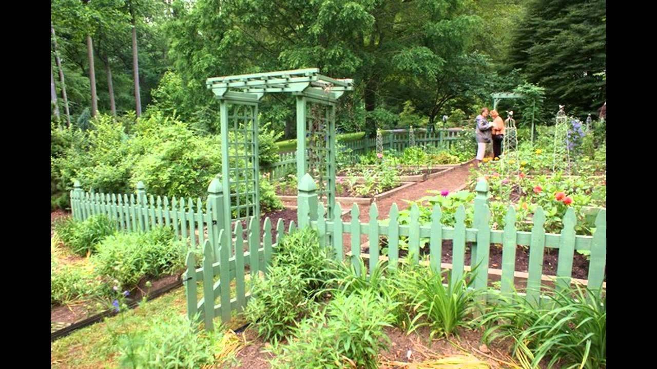 The Vegetable Garden Dream Garden