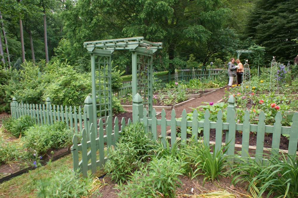 Vegetable Garden Gate Ideas Garden Plant