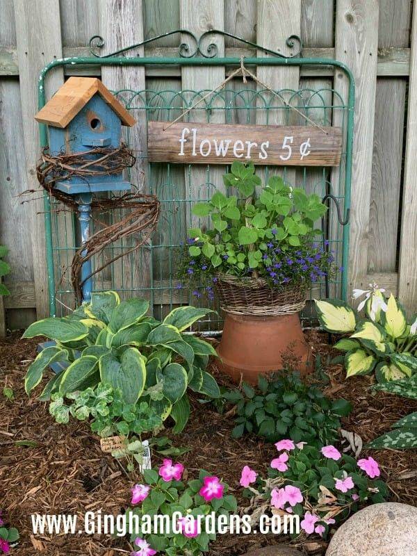 Bird Garden