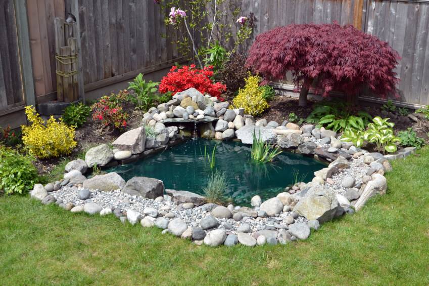 Backyard Pond Ideas