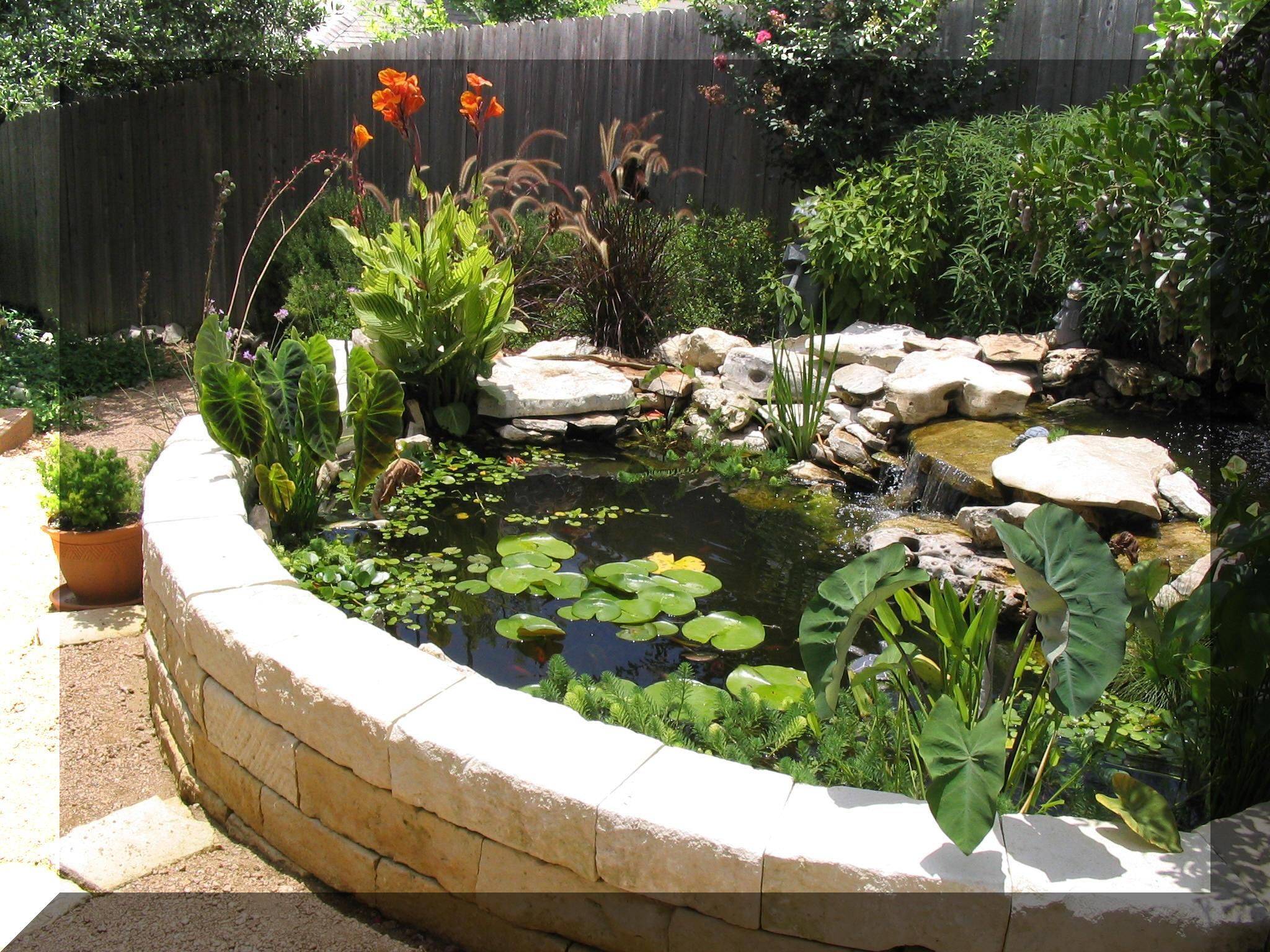 Raised Garden Pond Ideas