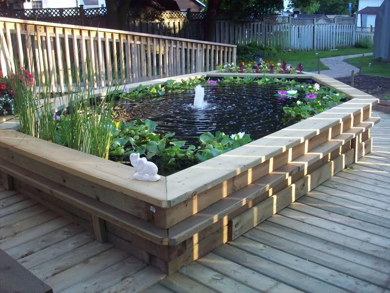Ponds Backyard