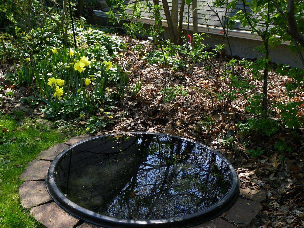 Best Indispensable Pond Liners Ideas