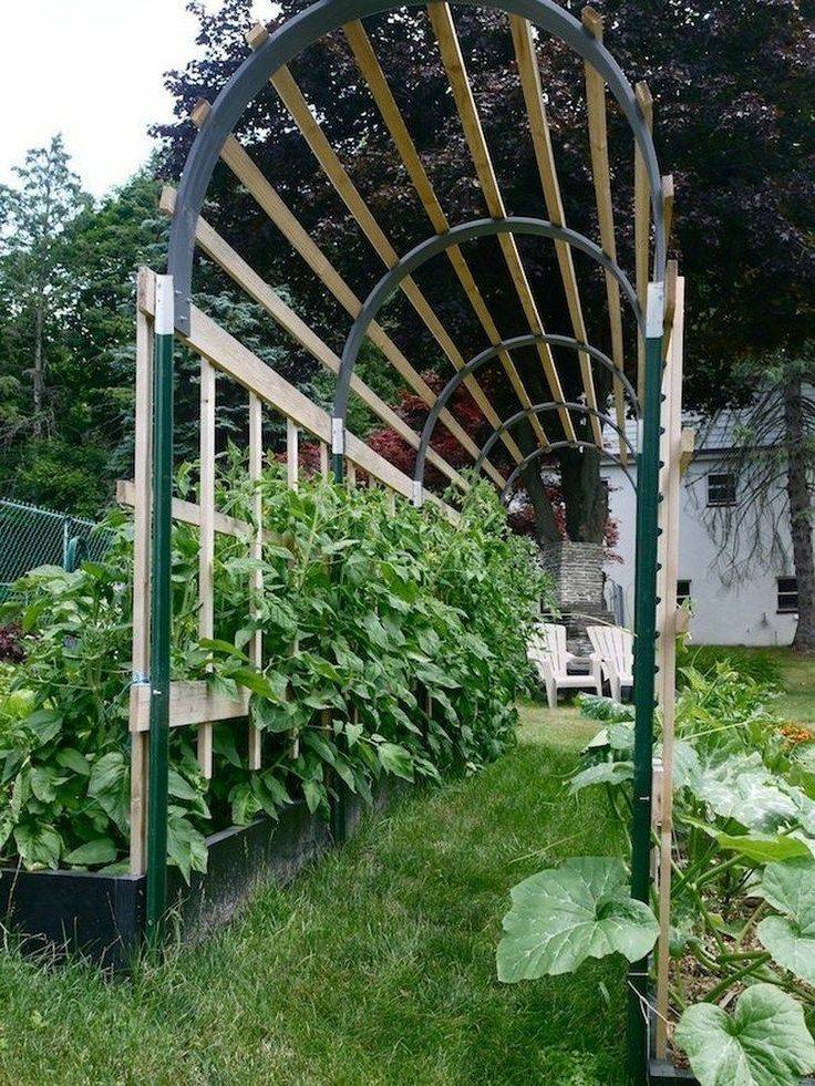 Diy Garden Trellis Ideas That Is Easy To Make Godiygocom