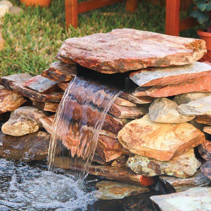 Ground Patio Pond Backyard Summer Small Fish