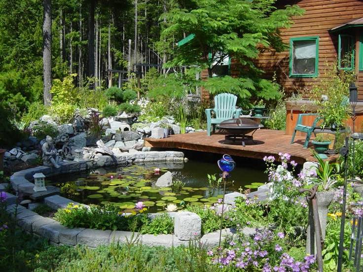 Best Preformed Pond Liner Ideas