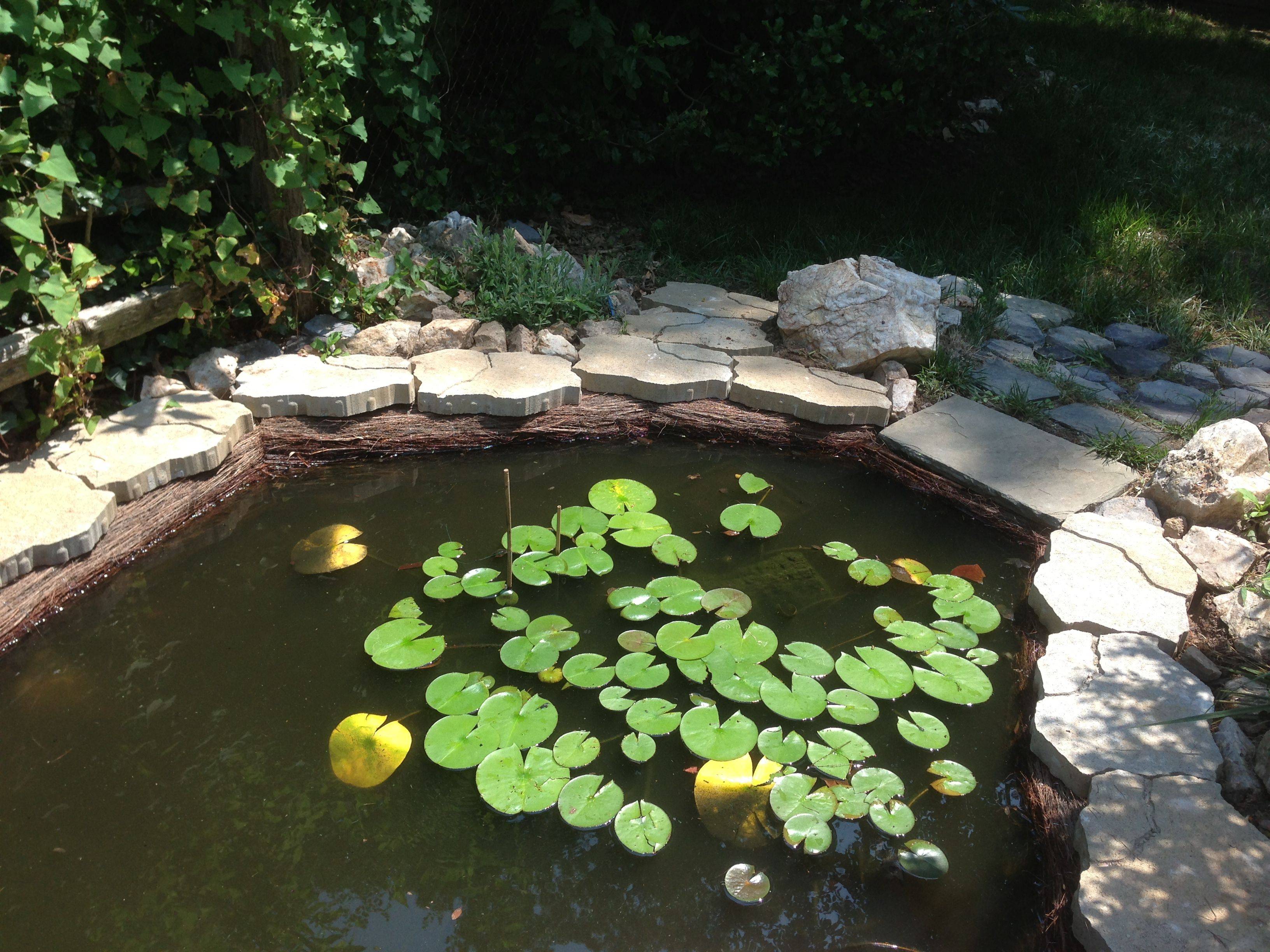 Outdoor Patio Water Feature Raised Backyard Fish Pond Kits Ponds Ideas