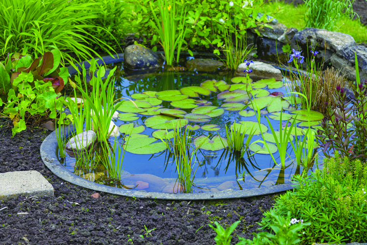 Preformed Garden Ponds