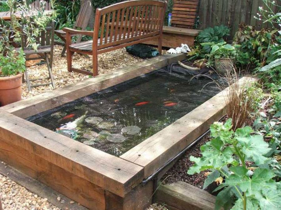 Nevada Pond Koi Water Garden