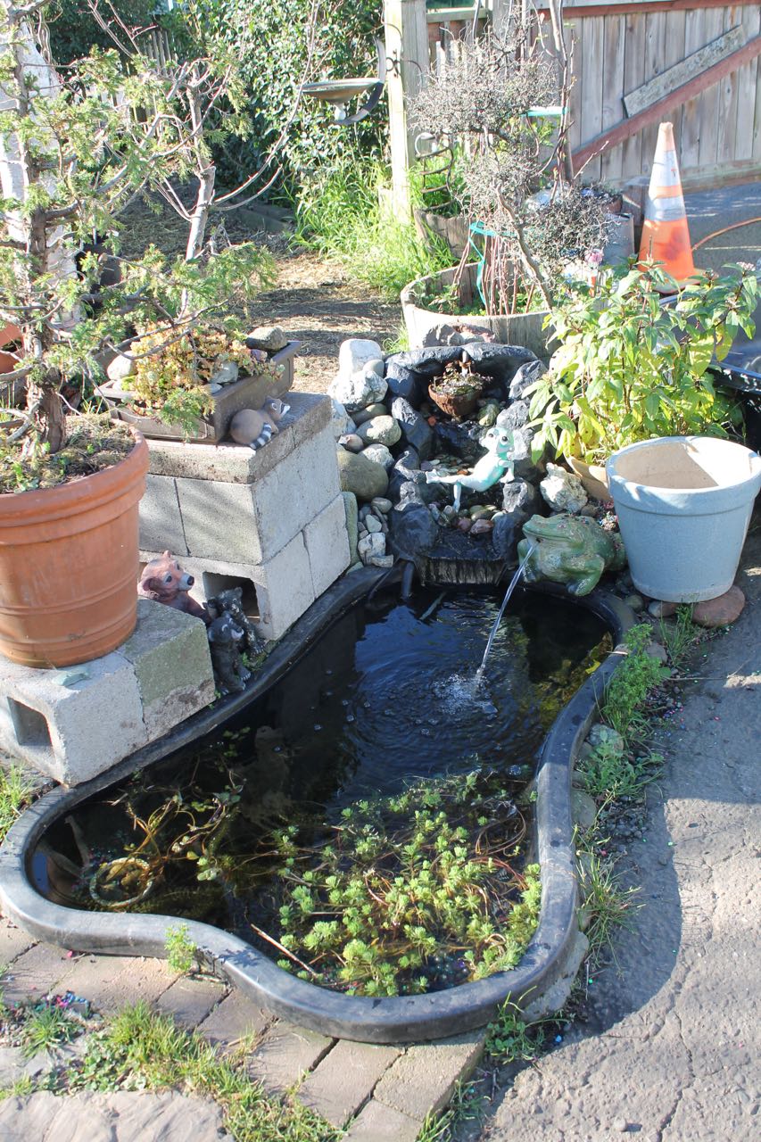 A Preformed Pond