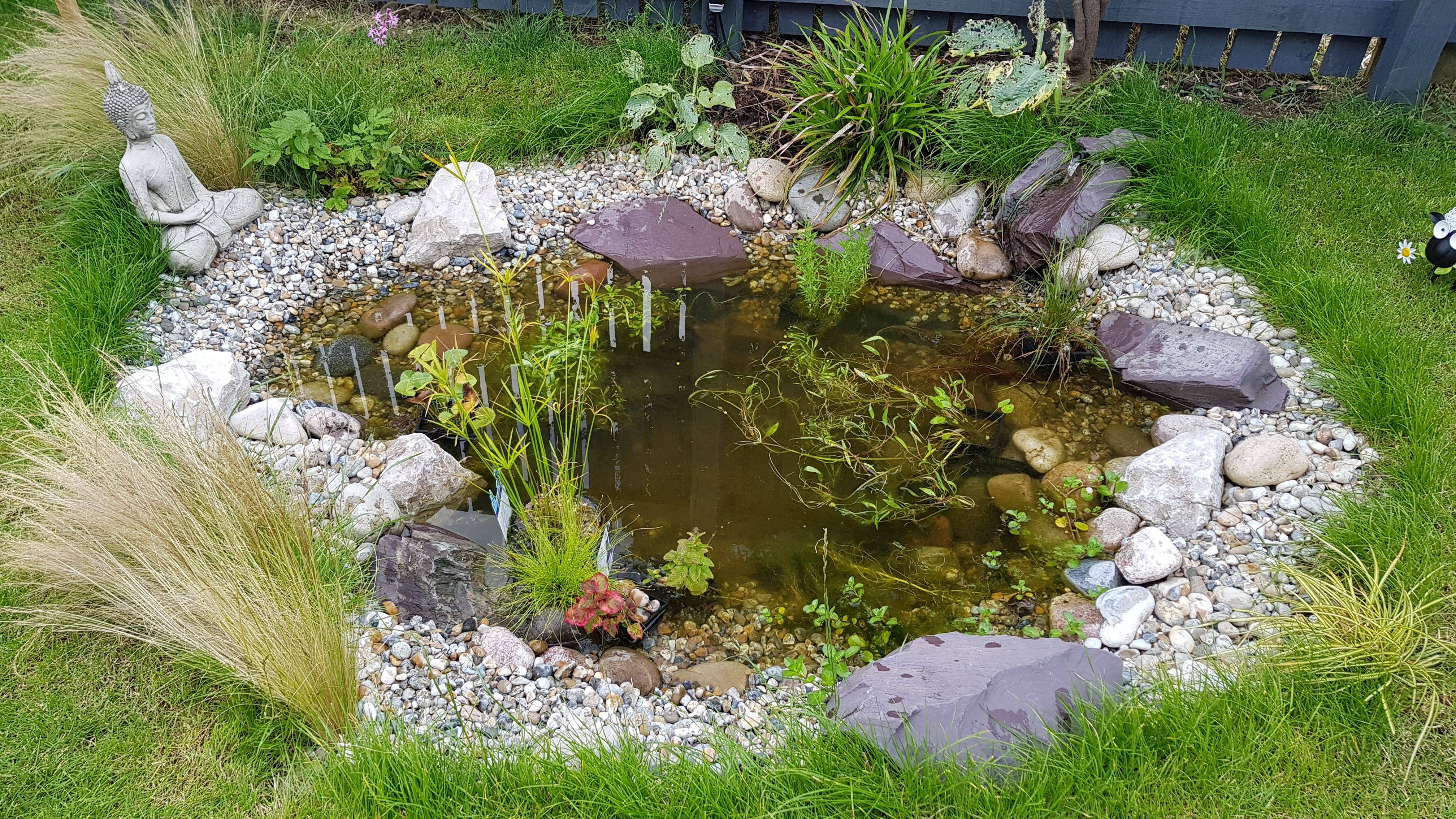 Favourite Pond Garden Ideas