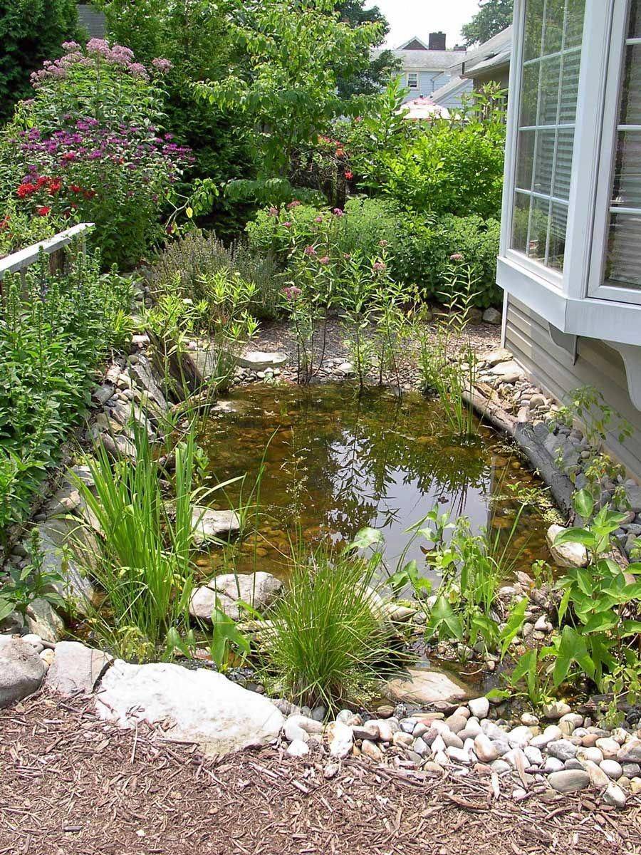 Your Garden Pond Garden Pond Design