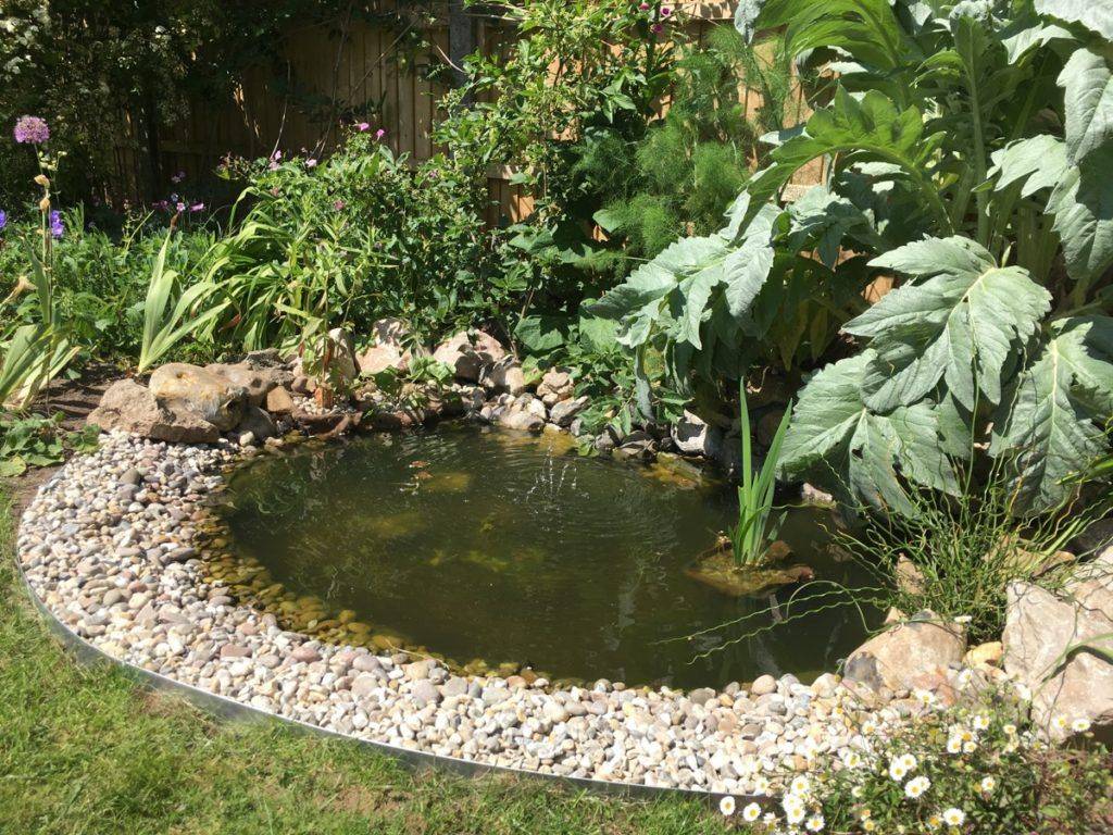 A Wildlife Pond Alizat Small Water Gardens