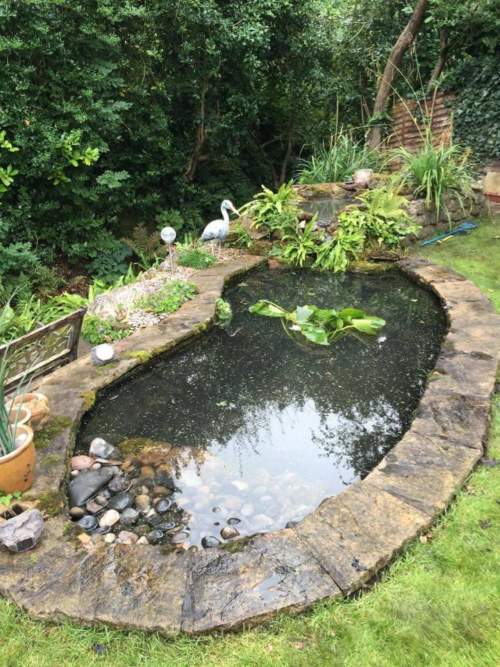 Backyard Wildlife Garden Pond Design
