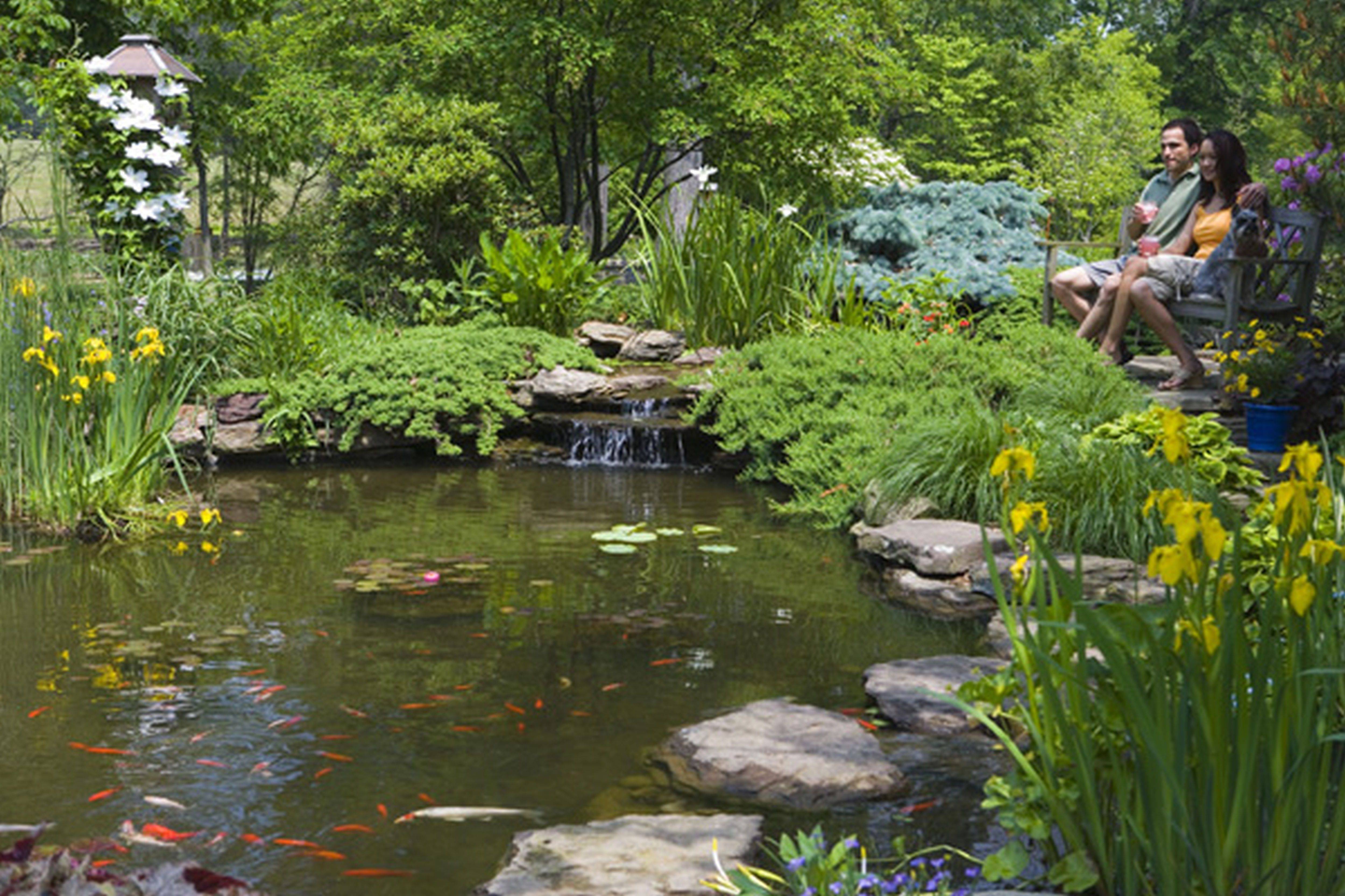 Small Wildlife Pond Outdoor Decor