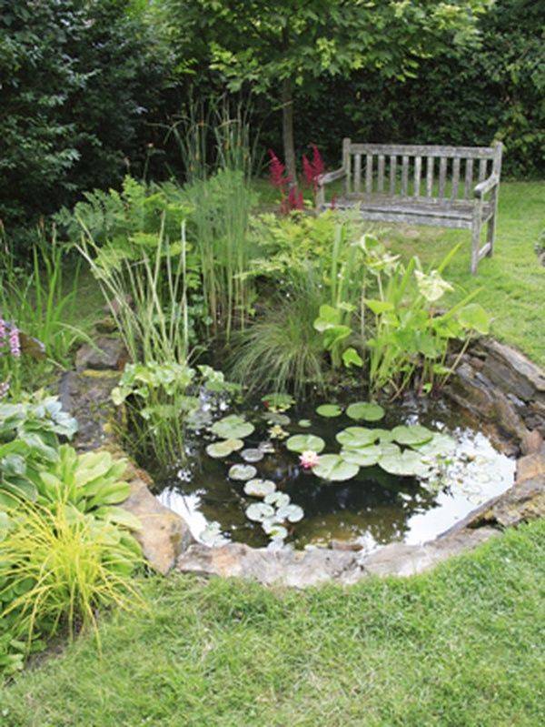 Wildlife Pond Ideas Six Beautiful Examples