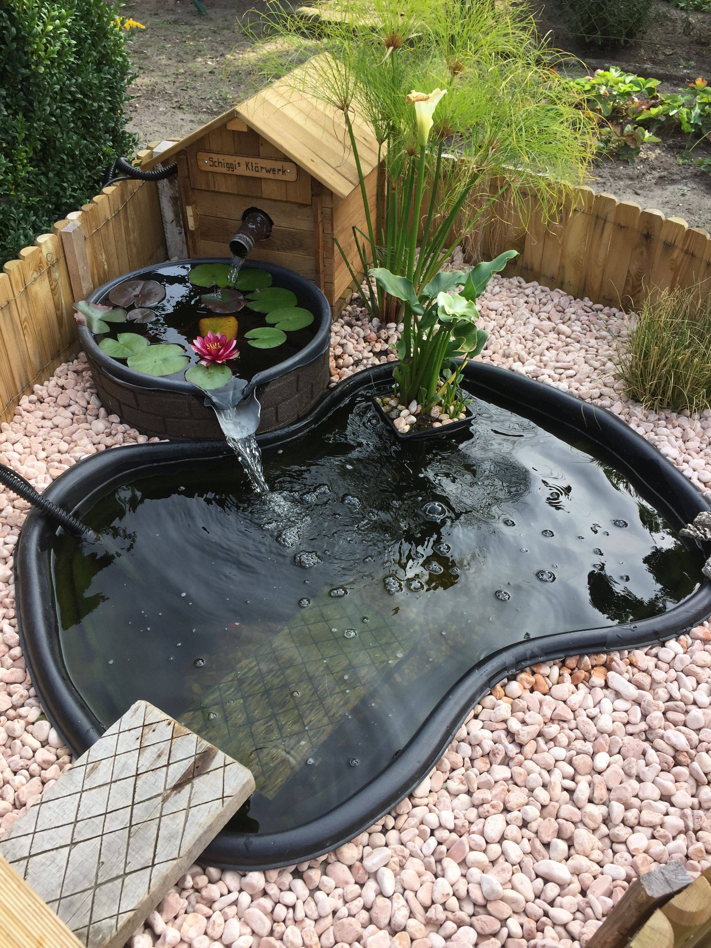 Ground Patio Pond Backyard Summer Small Fish