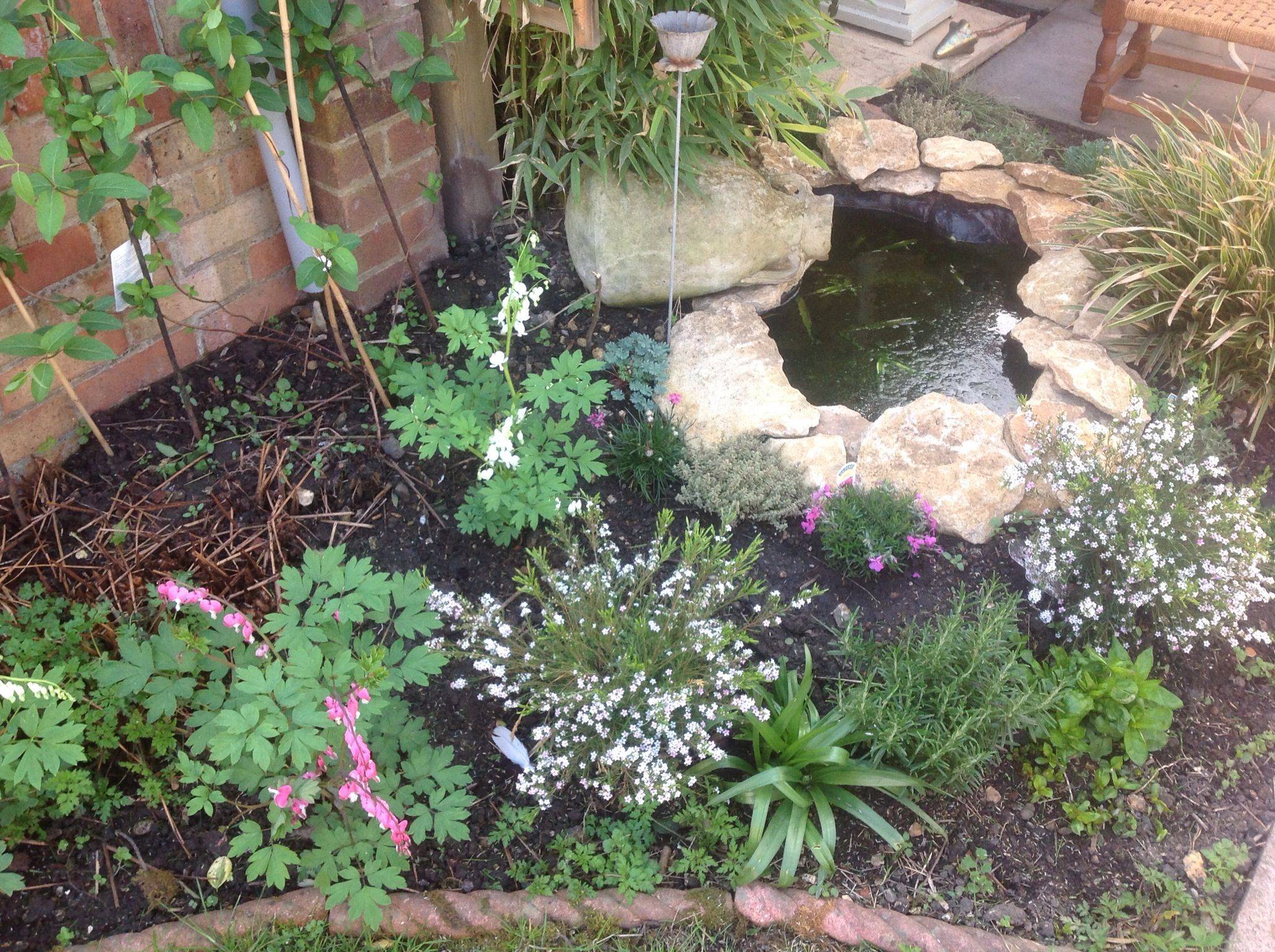 Cottage Garden Waterfalls Backyard