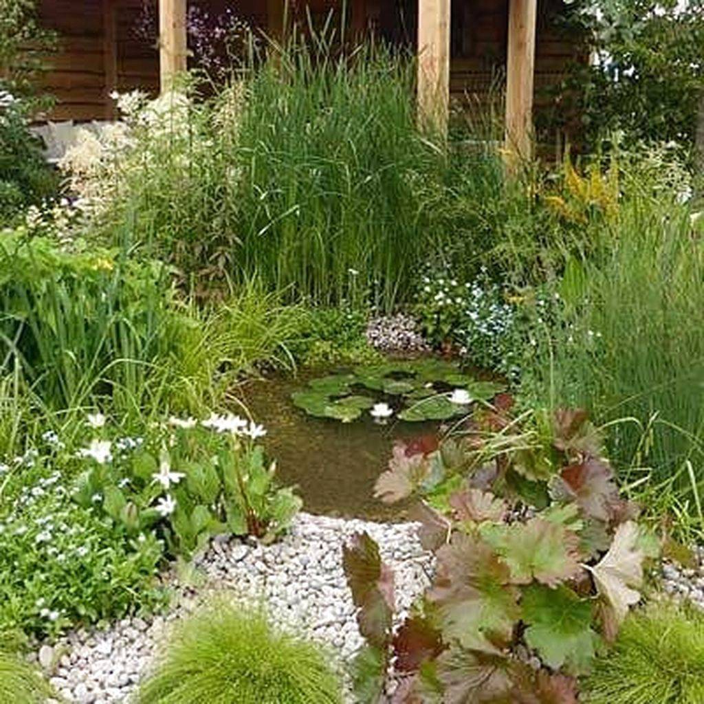 Inspiring Small Fish Pond Designs