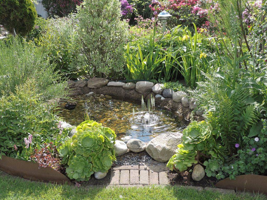 Instagram Garden Pond Design