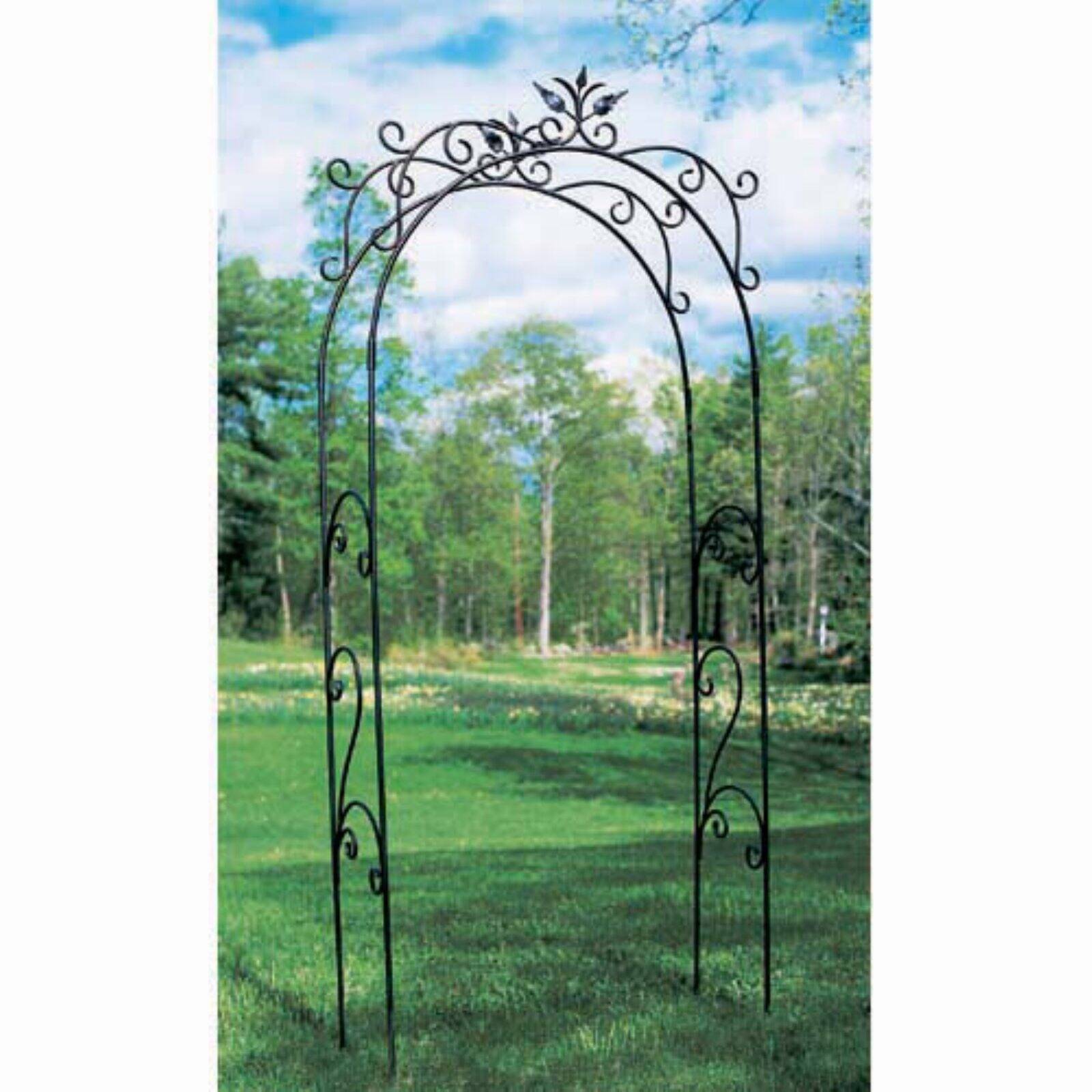 Andover Ft Cedar Wood Arch Trellis