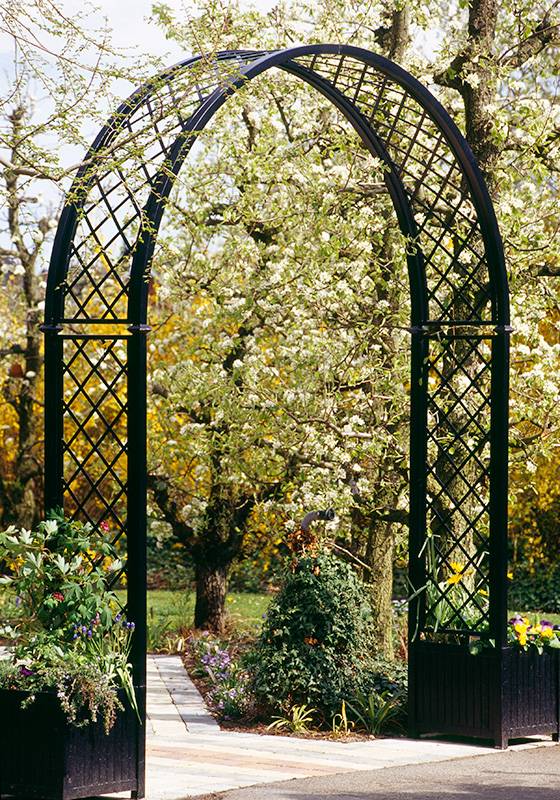 Backyard Pergola