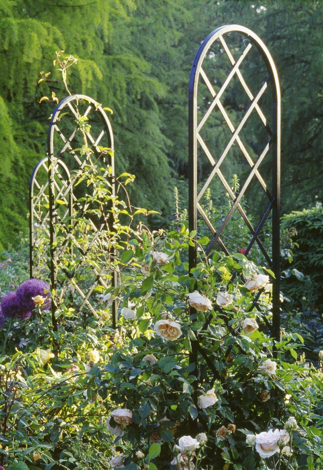 Roman Arbor Ft Arbors