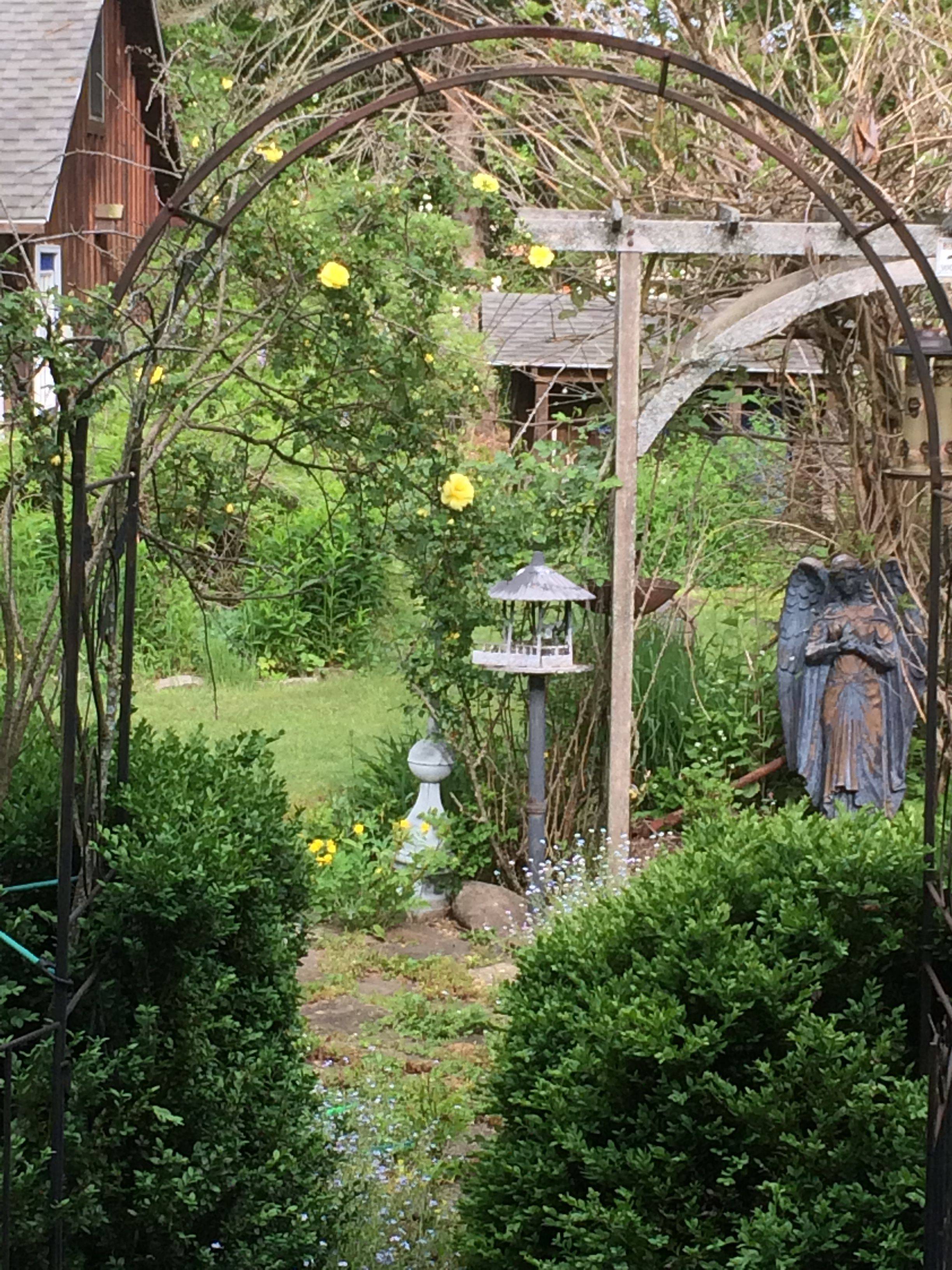 An Enchanting Outdoor Space