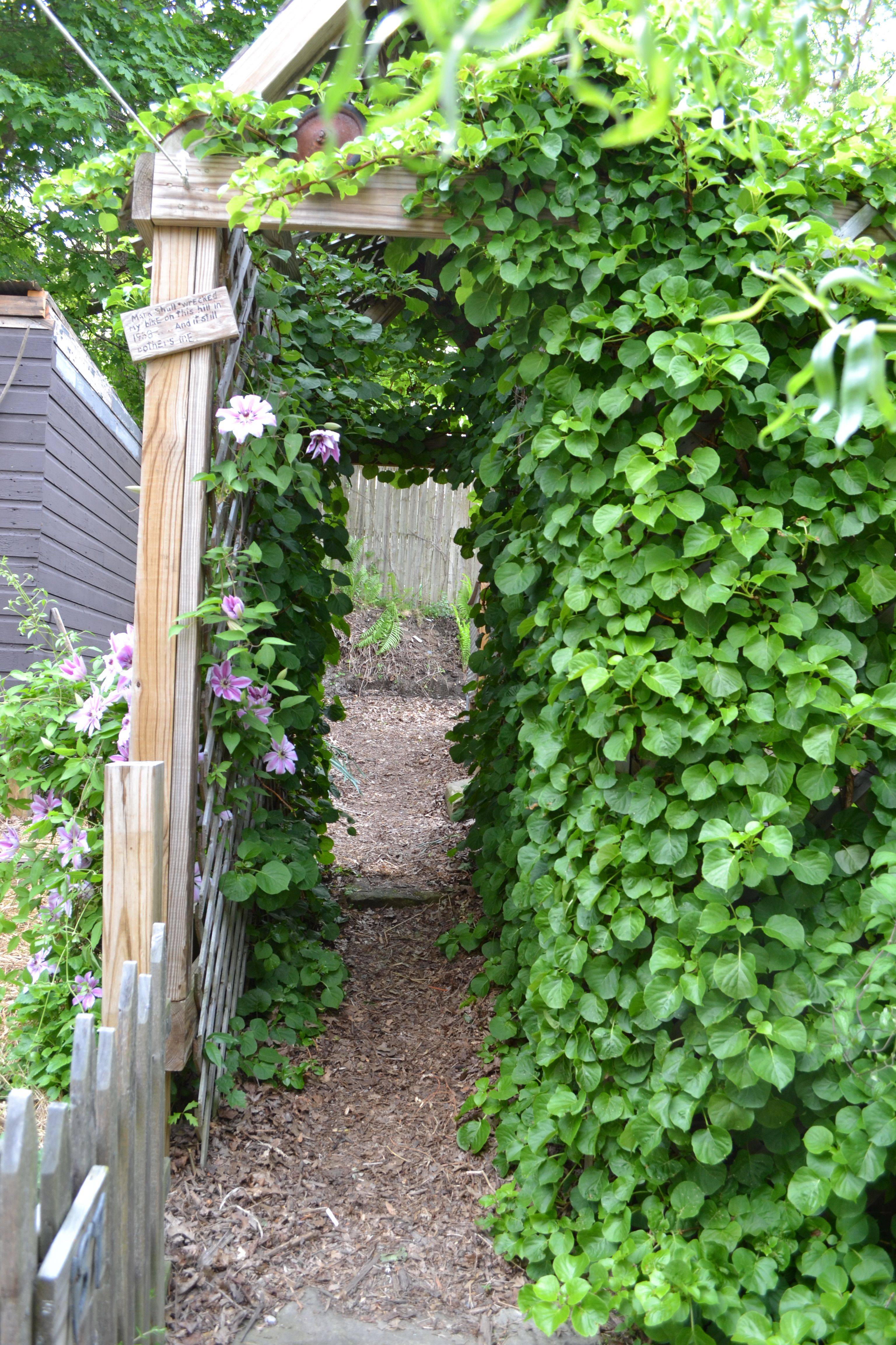 Garden Arch Garden Entrance