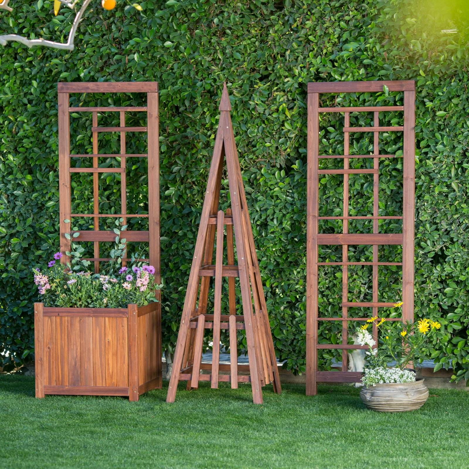 Garden Trellis