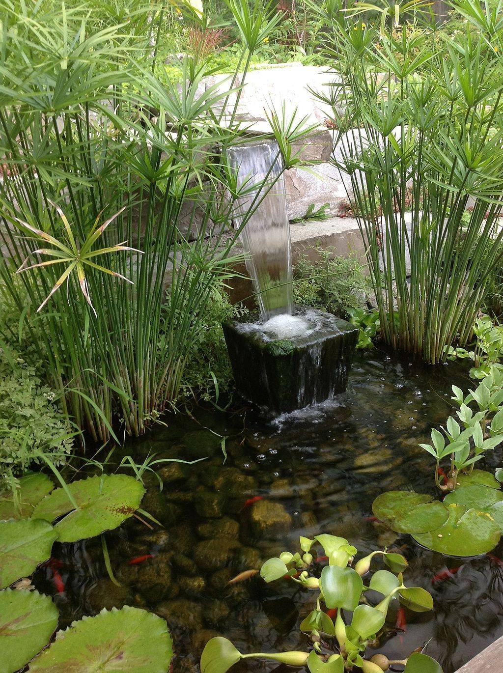 Adorable Awesome Backyard Ponds