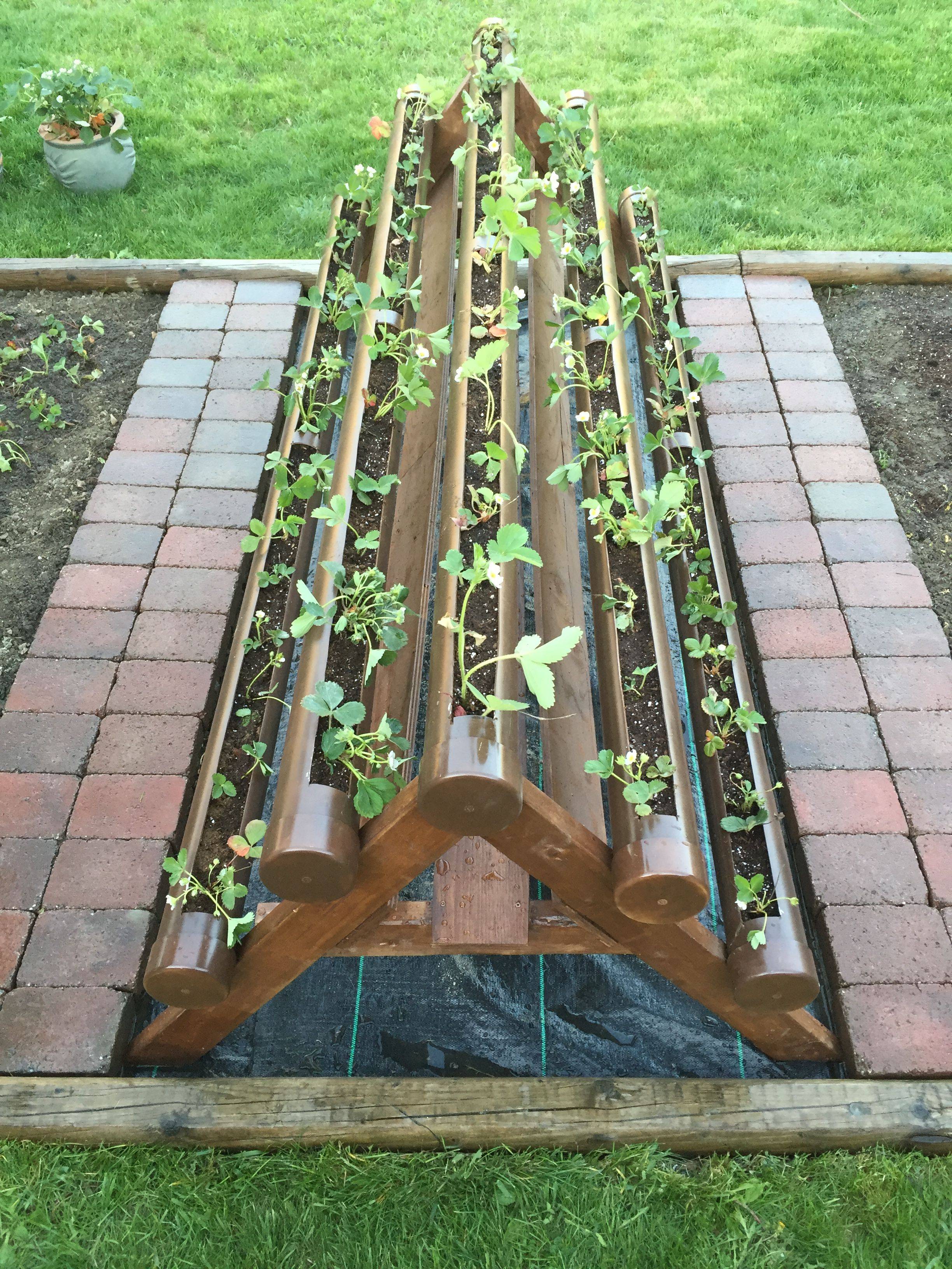 Great Diy Garden Plant Supports