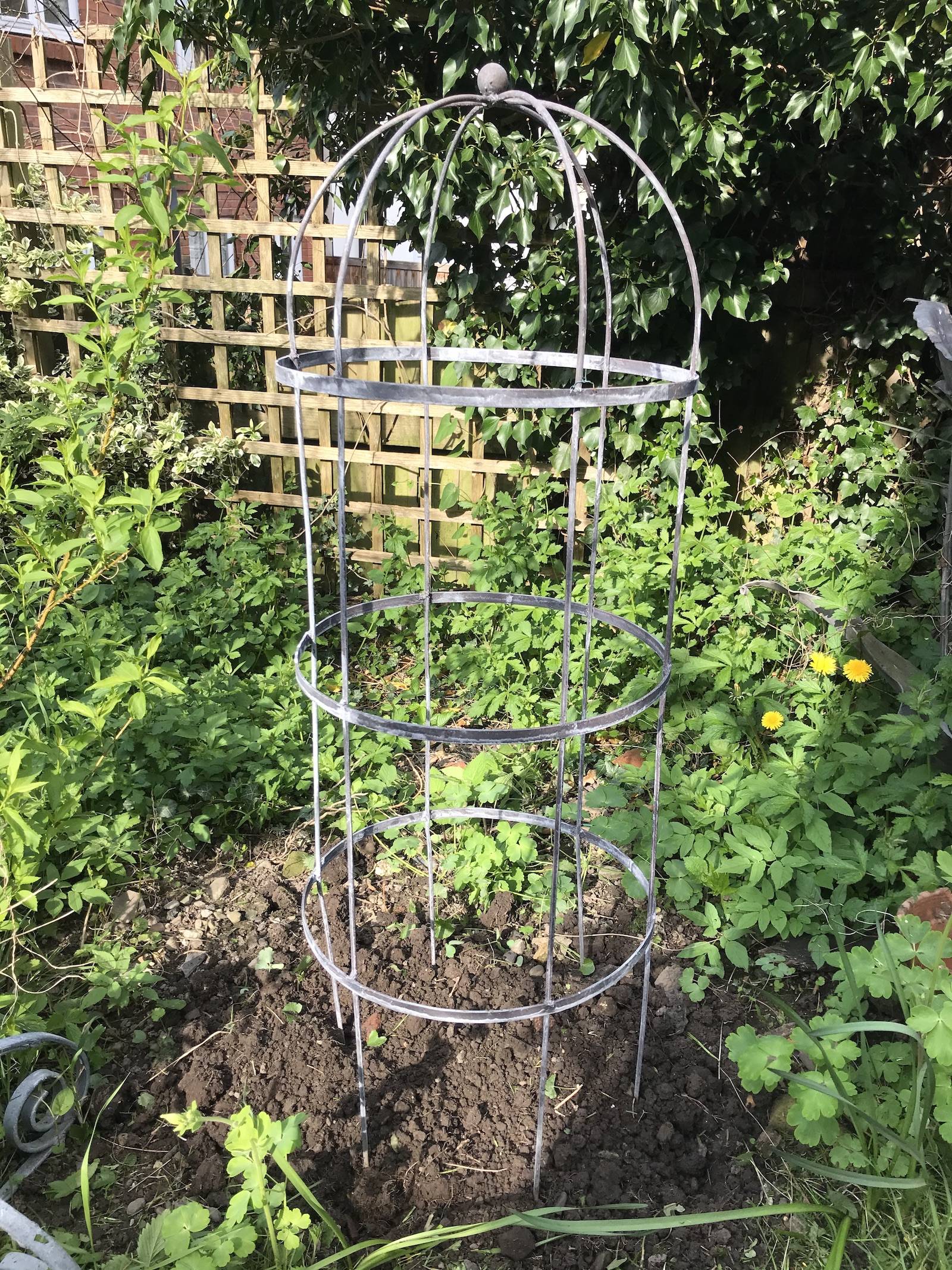 Great Diy Garden Plant Supports
