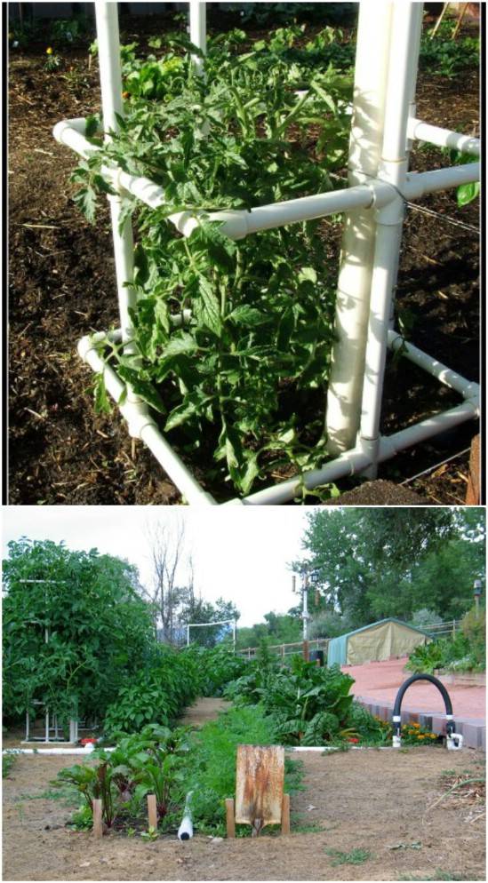 Great Diy Garden Plant Supports