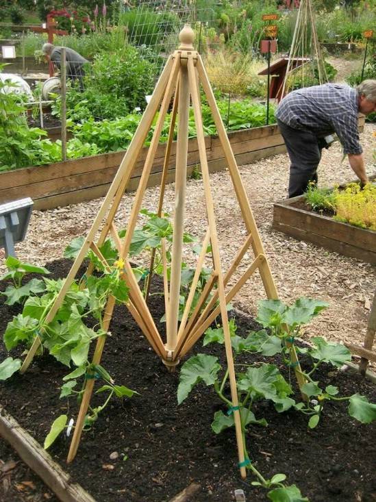 Great Diy Garden Plant Supports